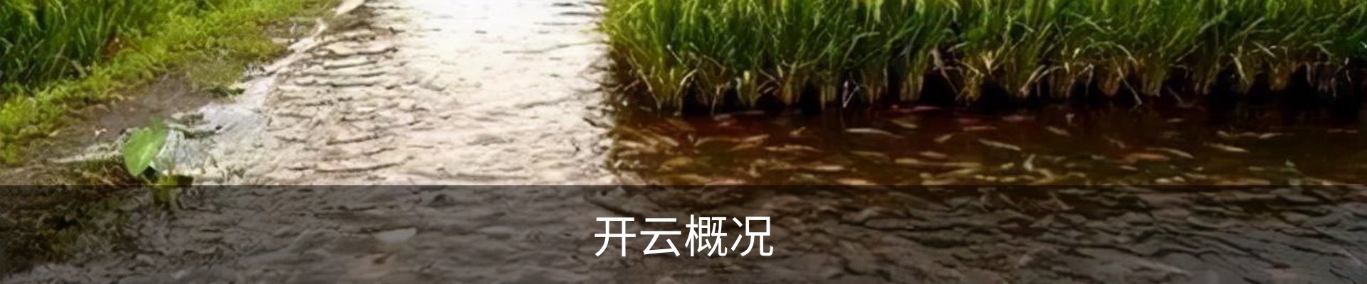 开云概况
